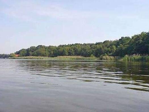 Einfamilienhaus zum Kauf 1.150.000 € 5 Zimmer 300 m² 1.350 m² Grundstück Mahlsdorf Berlin 12623