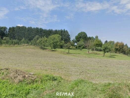 Grundstück zum Kauf 49.000 € 2.695 m² Grundstück Untere Bergstraße Bocksdorf 7553