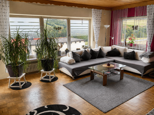 Mehrfamilienhaus zum Kauf 421.000 € 9 Zimmer 260 m² 2.000 m² Grundstück Derschen 57520