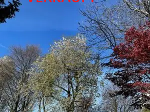 Wohnung zum Kauf 3 Zimmer 91 m² Salzburg Salzburg(Stadt) 5020