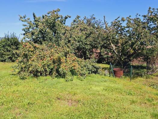 Doppelhaushälfte zum Kauf 295.000 € 4 Zimmer 120 m² 1.400 m² Grundstück frei ab sofort Kägsdorfer Landweg 5 Kühlungsborn 18225