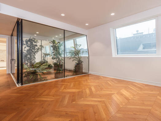 Wohnung zum Kauf - Erstbezug 7.100.000 € 4 Zimmer 265,6 m² EG Wien 1010