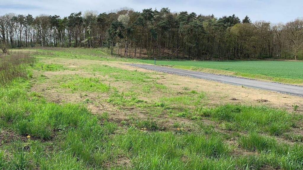 Grundstück zum Kauf 226.900 € 428 m² Grundstück Nesberg Haltern Haltern am See 45721