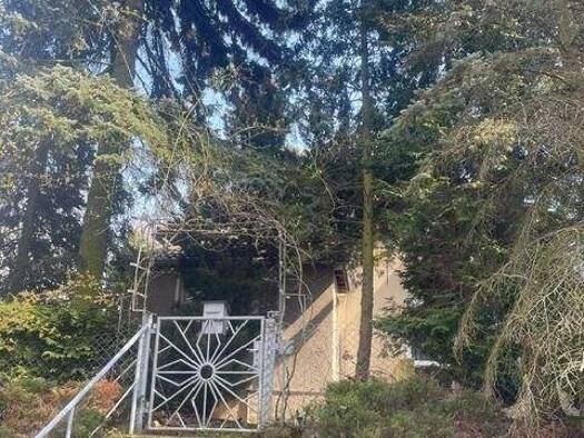 Einfamilienhaus zum Kauf 90.000 € 4 Zimmer 114 m² 1.738 m² Grundstück Schmiedeberger Weg 10 Großkorgau Bad Schmiedeberg 06905