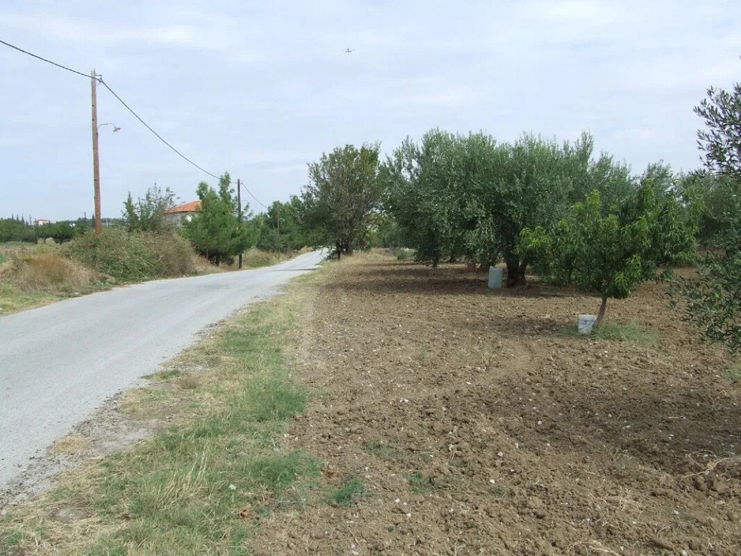 Land-/Forstwirtschaft zum Kauf 110.000 € 4.083 m²<br/>Grundstück Thessaloniki