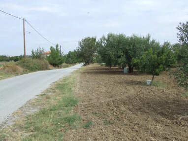 Land-/Forstwirtschaft zum Kauf 110.000 € 4.083 m² Grundstück Thessaloniki