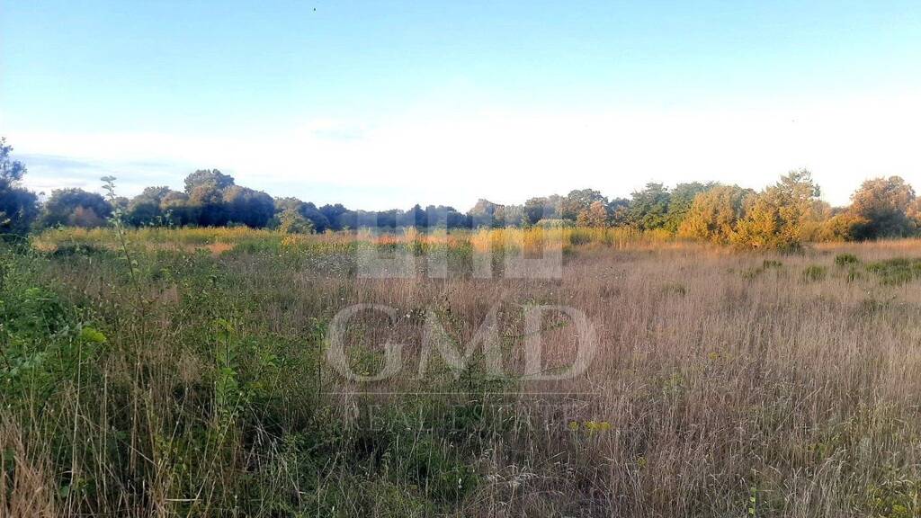 Land-/Forstwirtschaft zum Kauf 16.700 € Sisan