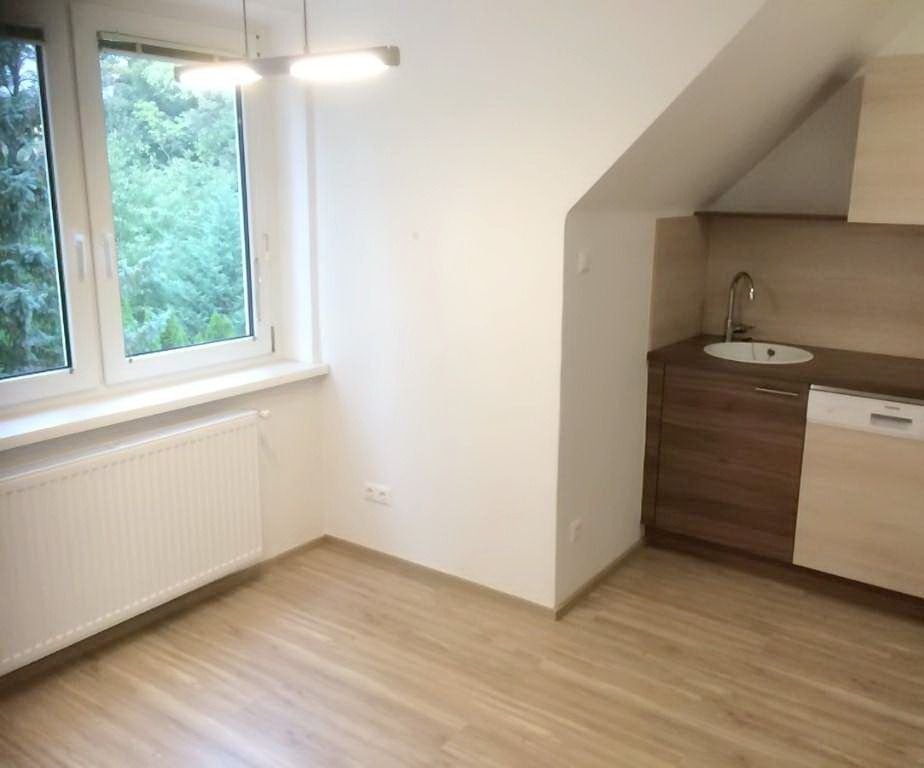 Studio zur Miete 735 € 1 Zimmer 44 m²<br/>Wohnfläche 2.<br/>Geschoss 01.01.2025<br/>Verfügbarkeit Wien 1230