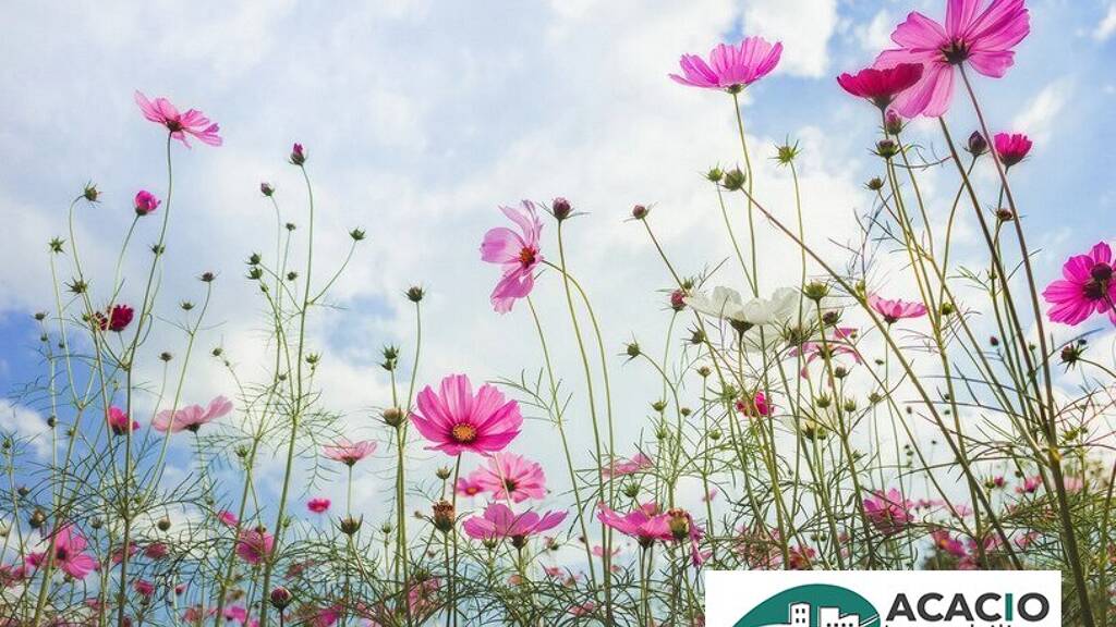 Grundstück zum Kauf 194.300 € 1.056 m² Grundstück Michelhausen 3451