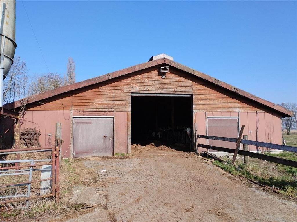 Immobilie in Krummhörn - Seltenheitswert - Pferdeliebhaber aufgepasst - Renovierungsbedürftiger Resthof mit historischem Charme zu verkaufen - Bild 3