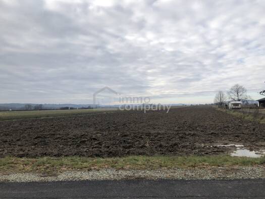 Grundstück zum Kauf 45.000 € 1.428 m² Grundstück Weichselbaum 8382