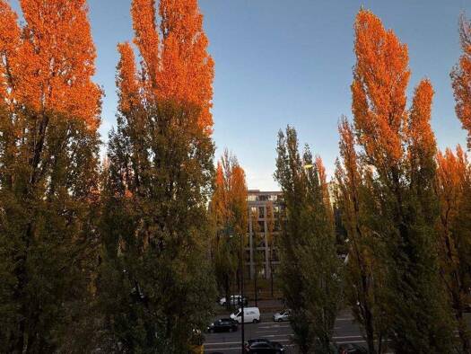 Studio zur Miete 1.350 € 27 m² 4. Geschoss frei ab sofort Leopoldstraße 17 Schwabing-Freimann München 80802