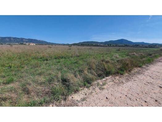 Acker-/Waldstück zum Kauf 49.999 € Salinas 03638