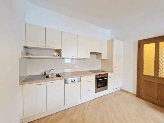Wohnung zur Miete 510 € 2 Zimmer 50 m² 1. Geschoss Lienz 9900