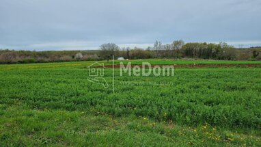 Land-/Forstwirtschaft zum Kauf 190.000 € Mrgani 52352