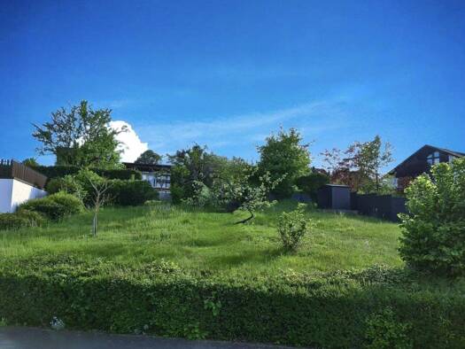 Grundstück zum Kauf 110.000 € 470 m² Grundstück frei ab sofort Pluwig 54316