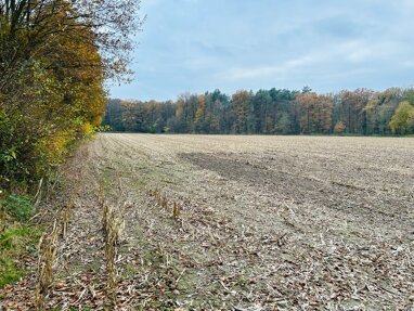 Land-/Forstwirtschaft zum Kauf 340.000 € 43.958 m² Grundstück Innenstadt - West Rheine 48432