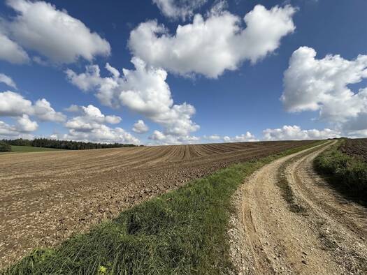 Land-/Forstwirtschaft zum Kauf 179.000 € 16.001 m² Grundstück Pilsting Pilsting 94431