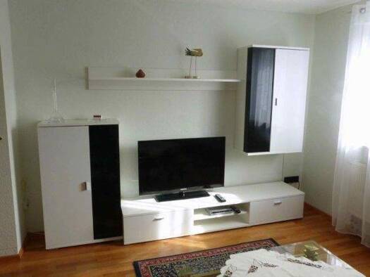 Wohnung zur Miete 650 € 2 Zimmer 50 m² 1. Geschoss frei ab 01.09.2026 Moorenbrunn Südöstliche Außenstadt 90475