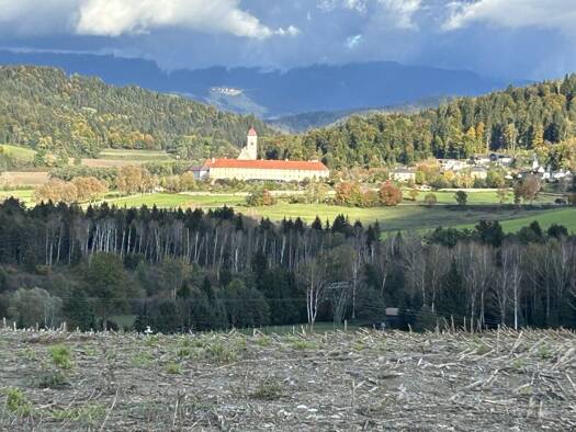 Land-/Forstwirtschaft zum Kauf 195.000 € 31.000 m² Grundstück St. Georgen am Längsee 9313