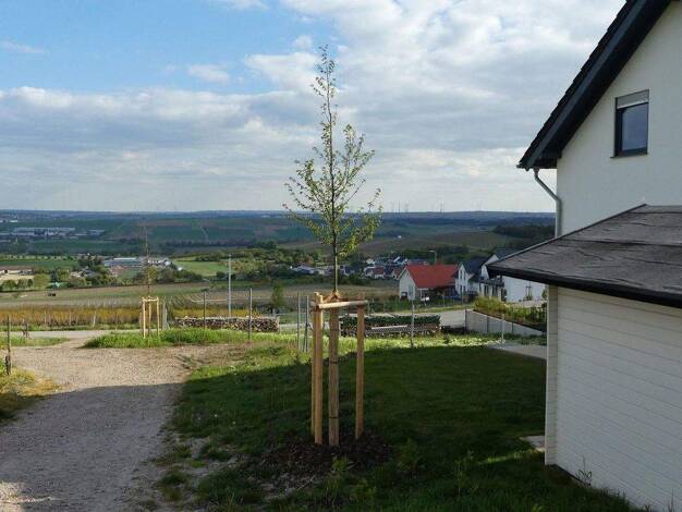 Doppelhaushälfte zur Miete 2.850 € 7 Zimmer 219 m² 300 m² Grundstück Essenheim 55270