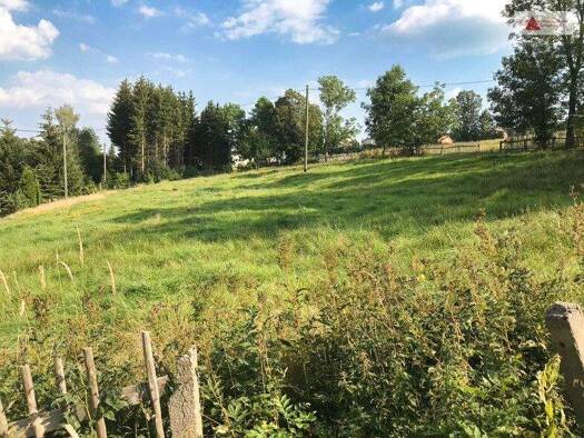 Grundstück zum Kauf 62.300 € 3.246 m² Grundstück Niederer Weg Annaberg Mildenau OT Arnsfeld 09456