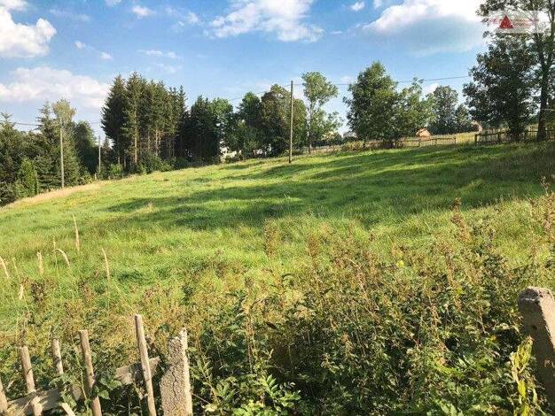 Grundstück zum Kauf 62.300 € 3.246 m² Grundstück Niederer Weg Arnsfeld Mildenau 09456