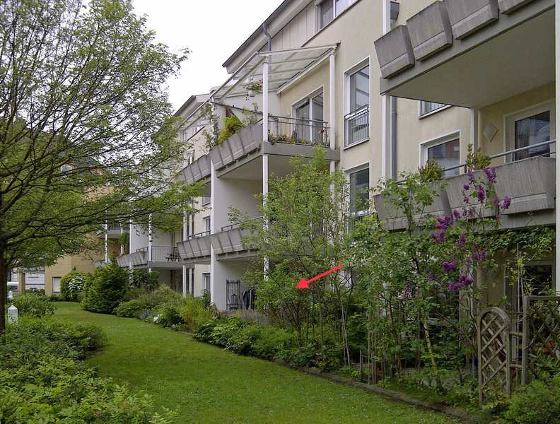 Wohnung zur Miete 700 € 3 Zimmer 79 m²<br/>Wohnfläche ab sofort<br/>Verfügbarkeit Kaiserallee Zoo Hannover 30175