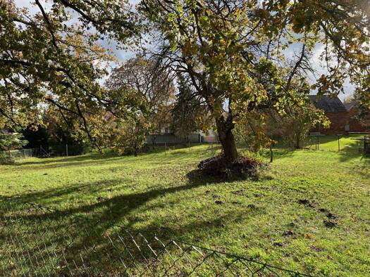 Grundstück zum Kauf 75.000 € 732 m² Grundstück frei ab sofort Kolkwitz 03099