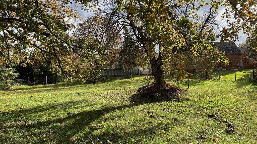 Grundstück zum Kauf 75.000 € 732 m² Grundstück frei ab sofort Kolkwitz 03099