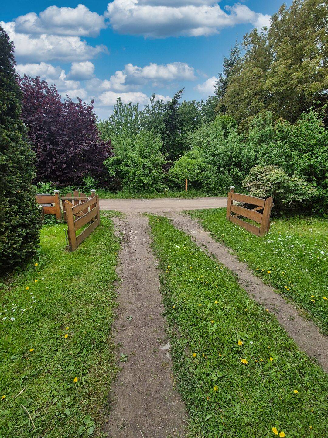 Haus – Cölpin, Mecklenburgische Seenplatte - Ansicht 4