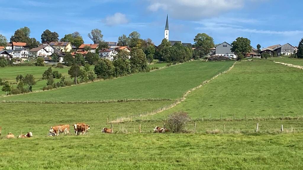 Studio zur Miete 570 € 1 Zimmer 57 m² Geschoss -3/3 frei ab sofort Kreuzberg Freyung 94078