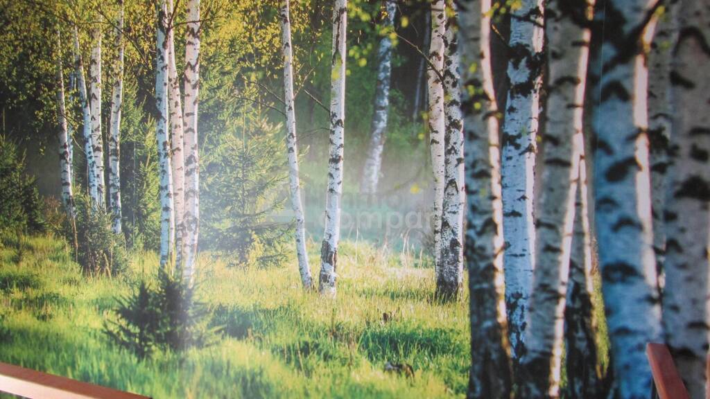 Einfamilienhaus zum Kauf 250.000 € 5 Zimmer 130 m² 281 m² Grundstück Sankt Nikola an der Donau 4381