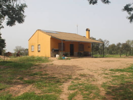 Bauernhaus zum Kauf provisionsfrei 138.000 € 4 Zimmer 120 m² 17.000 m² Grundstück Paterna del Campo 21880