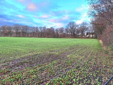 Land-/Forstwirtschaft zum Kauf 24.790 m² Grundstück Langen Geestland 27607