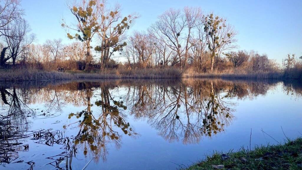 Sonstiges zum Kauf als Kapitalanlage geeignet 649.000 € 497,7 m² 432 m² Grundstück Wien 1220