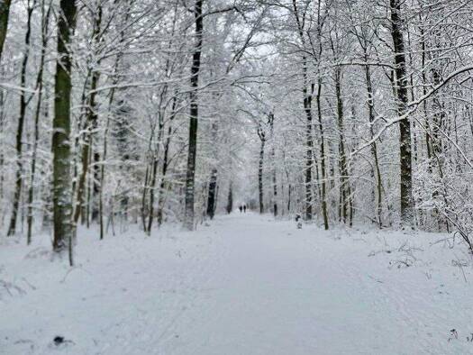 Laden zur Miete provisionsfrei 706 m² Verkaufsfläche Eilbek Hamburg 22089