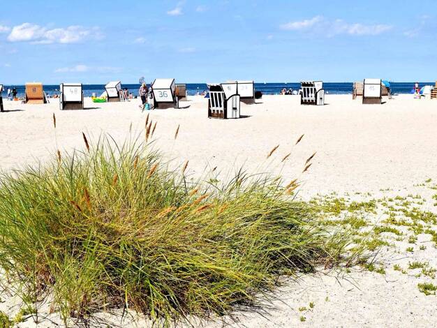 Einfamilienhaus zum Kauf - Erstbezug provisionsfrei 467.240 € 4 Zimmer 134,4 m² 801 m² Grundstück Kaltenhof Nordwestmecklenburg - Landkreis - Dassow 23942