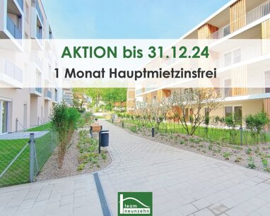 Wohnung zur Miete 439,29 € 1 Zimmer 32,8 m² 4. Geschoss Doktor-Wilhelm-Steingötter-Straße 25 Viehofen St. Pölten 3100