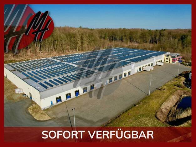 Halle/Industriefläche zur Miete 10.000 m² Lagerfläche Höhr-Grenzhausen 56203