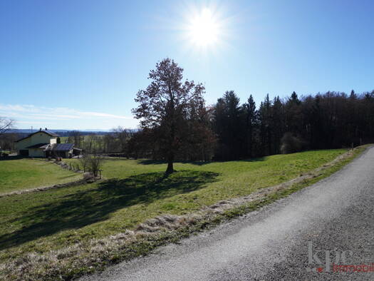 Land-/Forstwirtschaft zum Kauf 275.000 € 11.919 m² Grundstück Tutzing Tutzing 82327