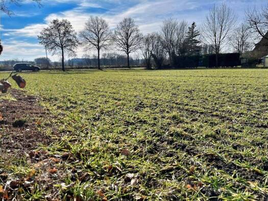 Grundstück zum Kauf 118.800 € 792 m² Grundstück frei ab sofort Osterwick Rosendahl 48720