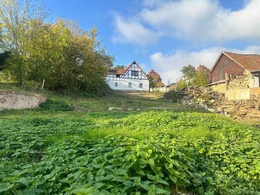 Grundstück zum Kauf 49.500 € 950 m² Grundstück Dörna Unstruttal 99996