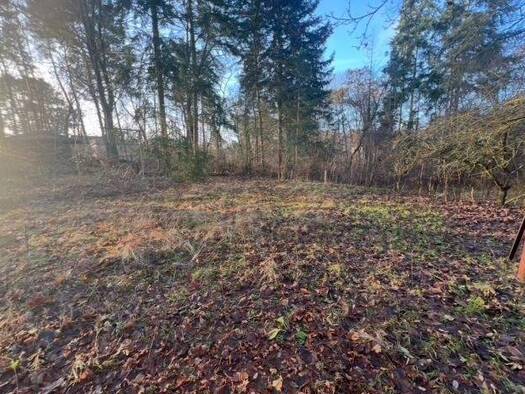 Grundstück zum Kauf 235.000 € 653 m² Grundstück Birkenwerder 16547