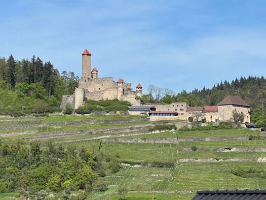 Penthouse zur Miete 1.600 € 4 Zimmer 138 m² Geschoss 1/1 frei ab 01.04.2026 Haßmersheim 74855