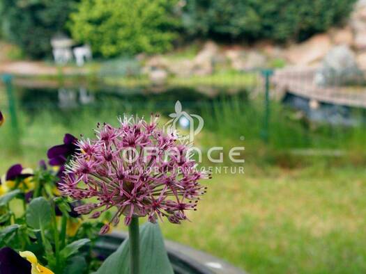 Mehrfamilienhaus zum Kauf 437.000 € 10 Zimmer 263 m² 1.847 m² Grundstück Tensfeld 23824