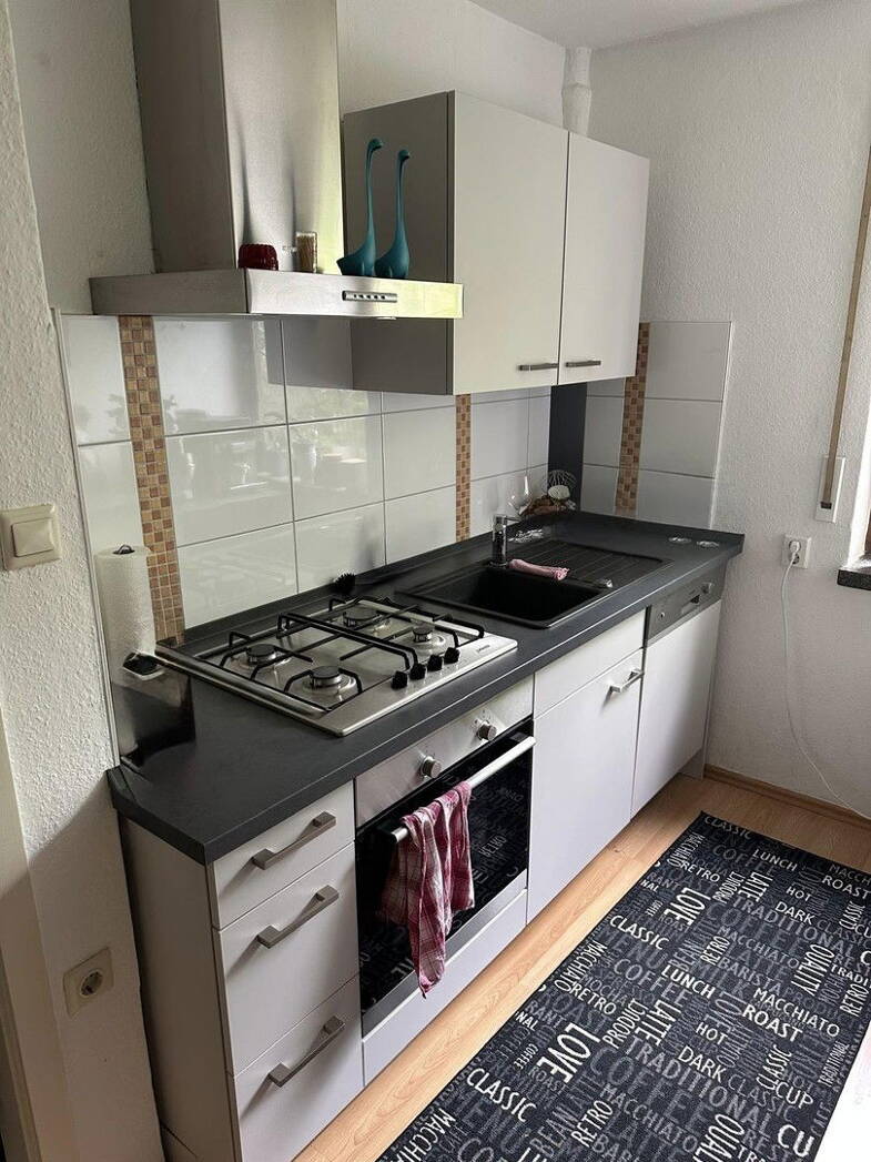 Wohnung zur Miete 570 € 3 Zimmer 60 m² EG frei ab 01.06.2025 Fichtestraße Frankenthal 132 Frankenthal 67227