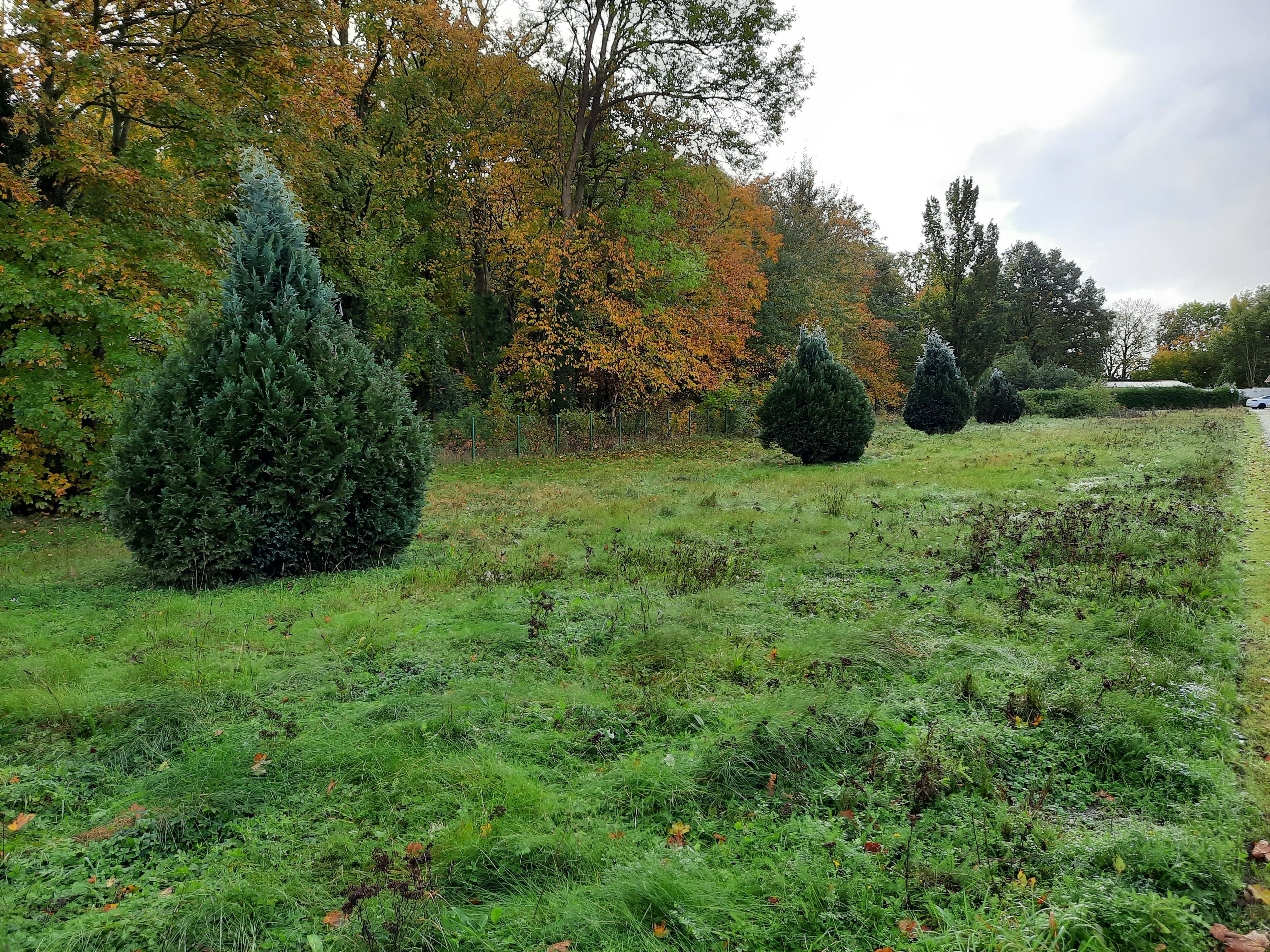 Grundstück zum Kauf 75.000 € 1.781 m²<br/>Grundstück Steinfurth Karlsburg 17495