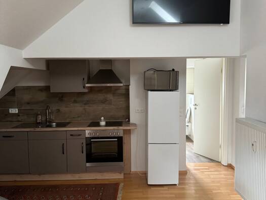 Wohnung zur Miete 670 € 1 Zimmer 45 m² Geschoss 2/2 frei ab sofort Behringersdorf Schwaig bei Nürnberg 90571