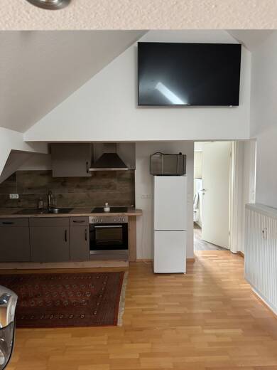 Wohnung zur Miete 670 € 1 Zimmer 45 m² Geschoss 2/2 frei ab sofort Behringersdorf Schwaig bei Nürnberg 90571
